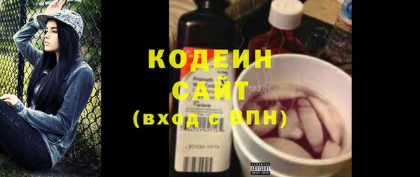скорость Вяземский