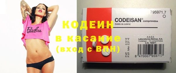 гашик Горняк