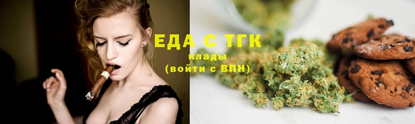 гашик Горняк