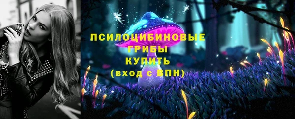 ГАЛЛЮЦИНОГЕННЫЕ ГРИБЫ Вязьма
