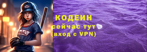гашик Горняк