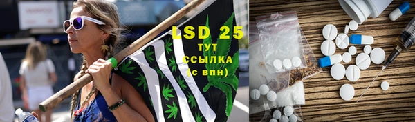 гашик Горняк