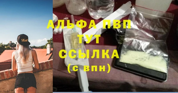 гашик Горняк