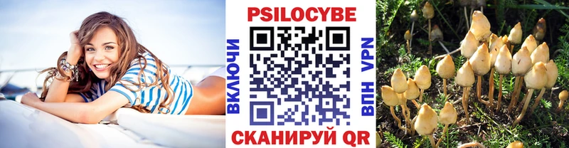 Псилоцибиновые грибы GOLDEN TEACHER Знаменск
